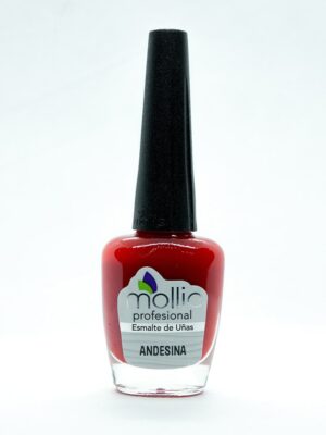 ESMALTE ANDESINA